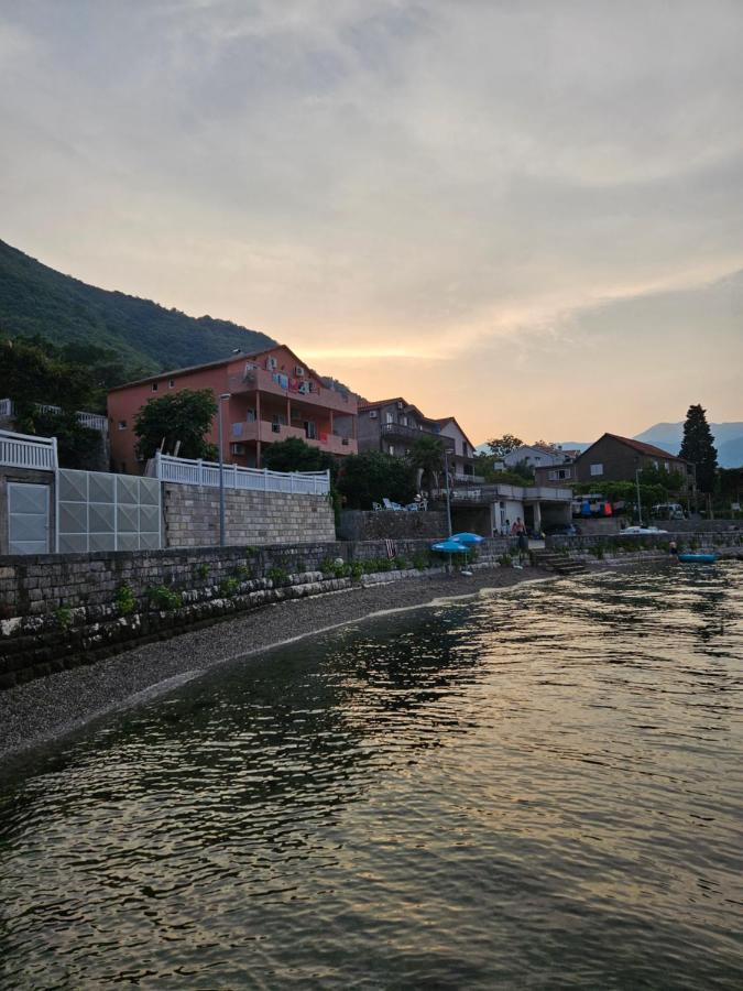 Apartmani Markovic Kotor Eksteriør bilde